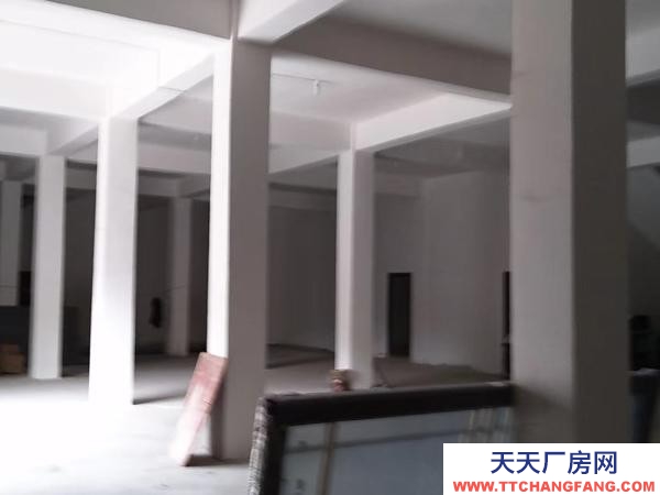 (出租) 適合貨物儲存堆放，加工作坊，