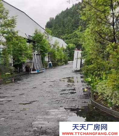 (出租) 標準廠房，層高9米，帶航吊