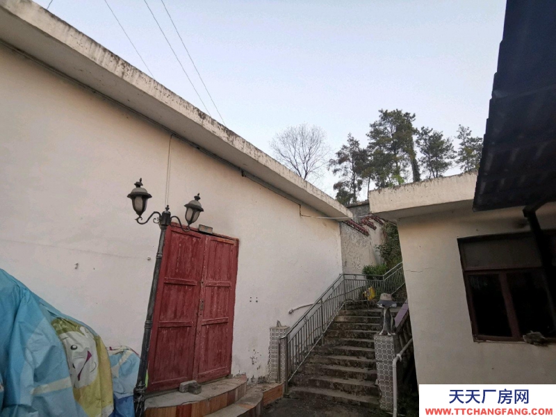 匯川東聯線馬桑臺貓貓山近郊小別墅