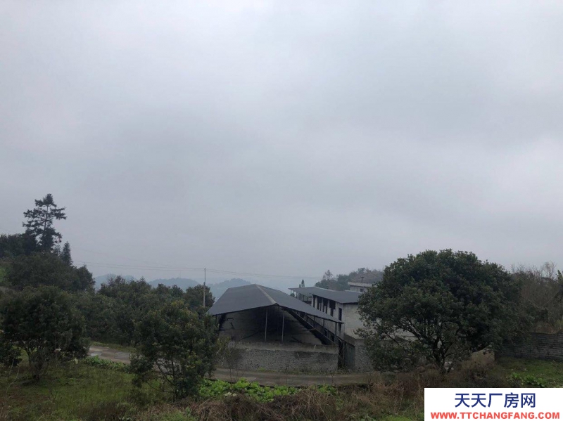 本廠房低價出售，三相電齊全，可用作養殖或加工