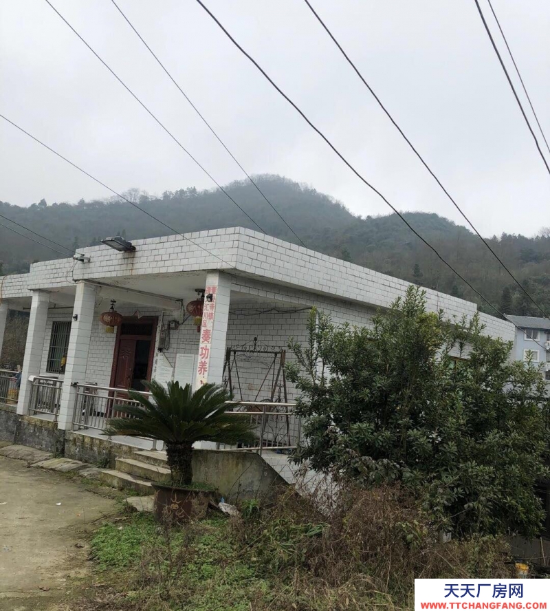 本廠房低價出售，三相電齊全，可用作養殖或加工