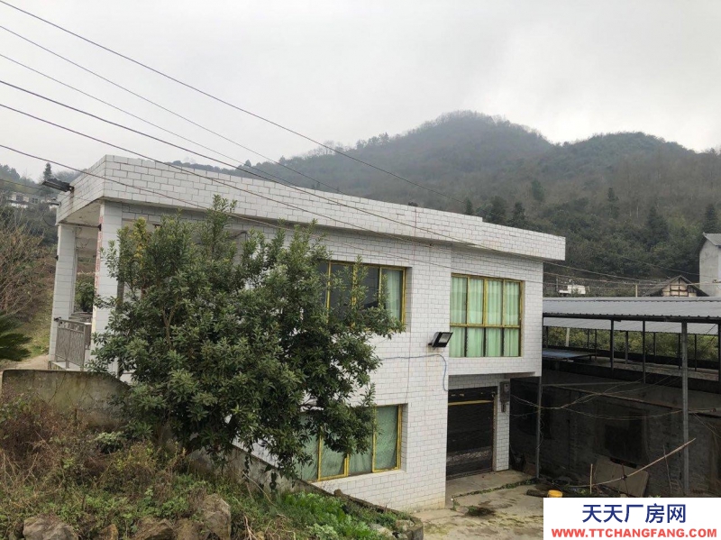 本廠房低價出售，三相電齊全，可用作養殖或加工