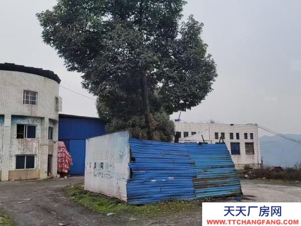 (出售) 大型廠房5000平米含26畝工業(yè)土地可改商