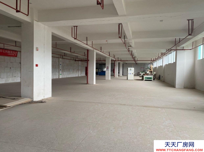 (出租) 可做生產廠房配置專業用電，也可做倉儲。