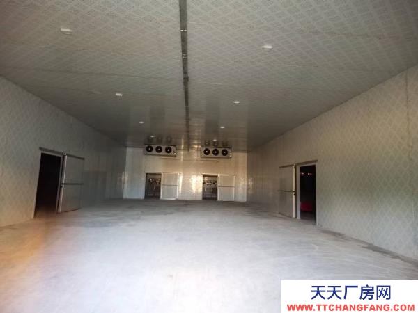 (出租) 價格優惠 可議價 冷庫整租全套設施