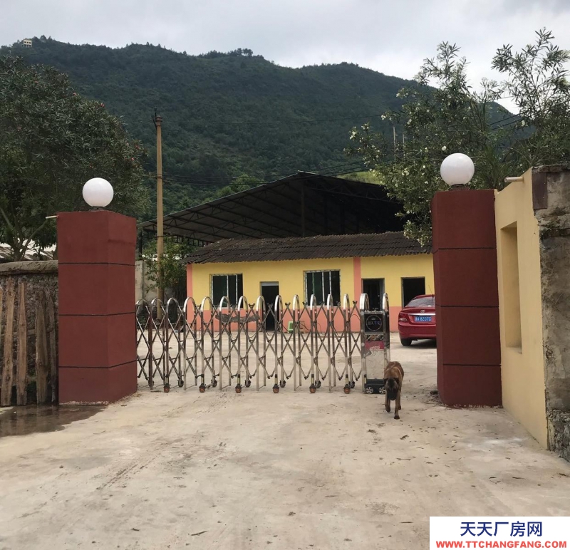 (出租) 500平左右院壩，可以搭棚，有動力電