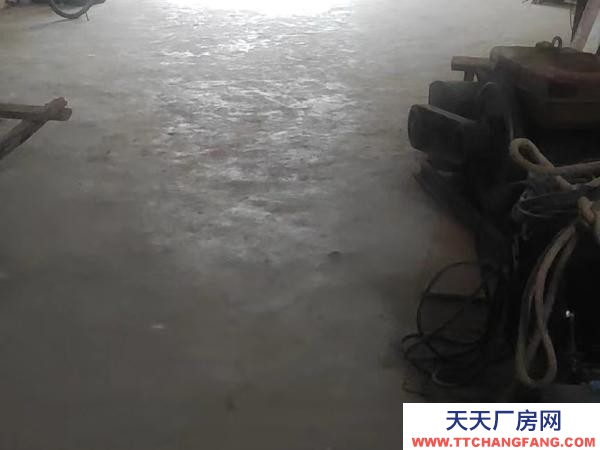 (出租) 自家一樓庫房出租有意者電聯(lián)