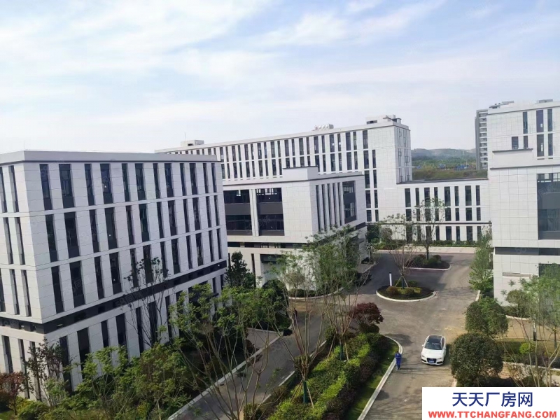 (出售) 南明標準結構廠房 (首層8.1米)面積9004000