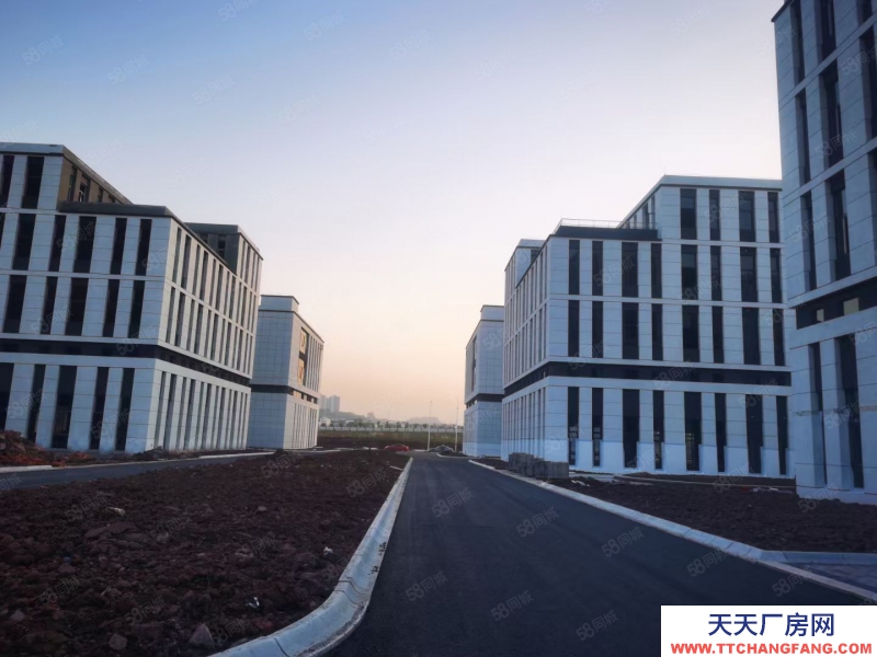 (出售) 南明標準結構廠房 (首層8.1米)面積9004000