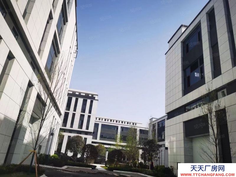 (出售) 南明標準結構廠房 (首層8.1米)面積9004000