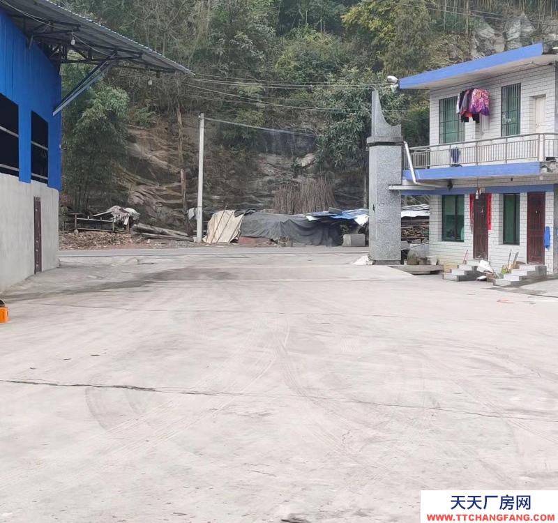 (出租) 可以整租和分租，有住房及門面，有三箱電專便電