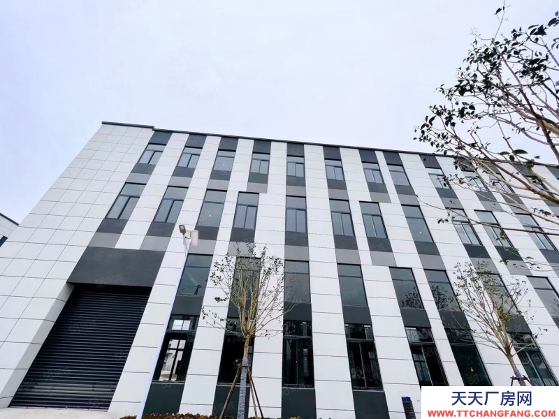 (出售) （首層8.1米）開盤特惠 價格優惠 小1000 可按揭