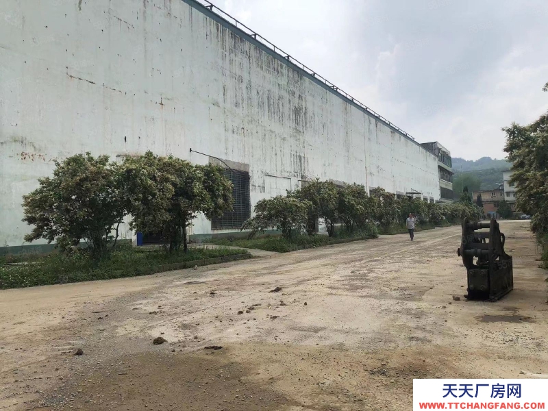 (出售) 云巖區 （沙河村）廠房出售 廠房出售 1200平330萬出售