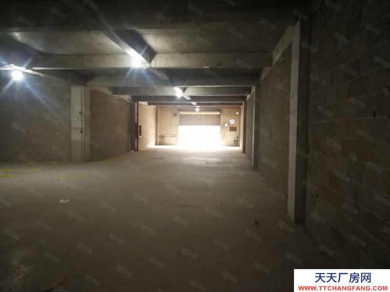 (出租) 數(shù)博大道旁金伍路65號一樓540平，420平.370平招租