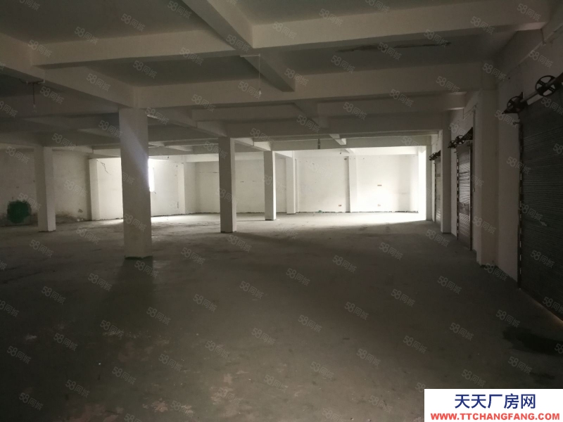 (出租) 數博大道旁金伍路65號一樓540平,420平.370平招租