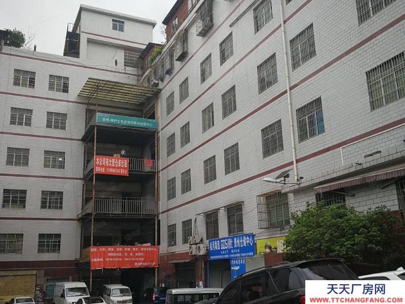 (出租) 數博大道旁金伍路65號一樓540平,420平.370平招租