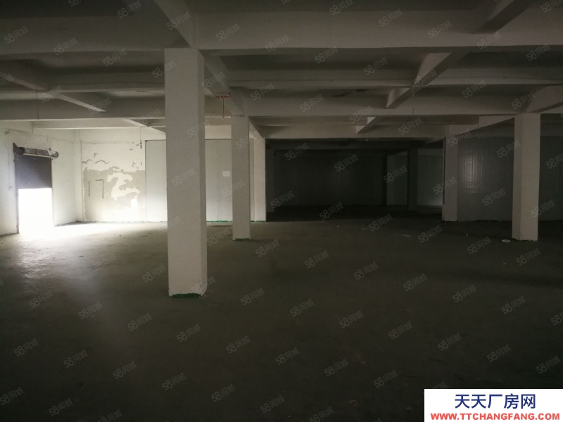 (出租) 數博大道旁金伍路65號一樓540平,420平.370平招租