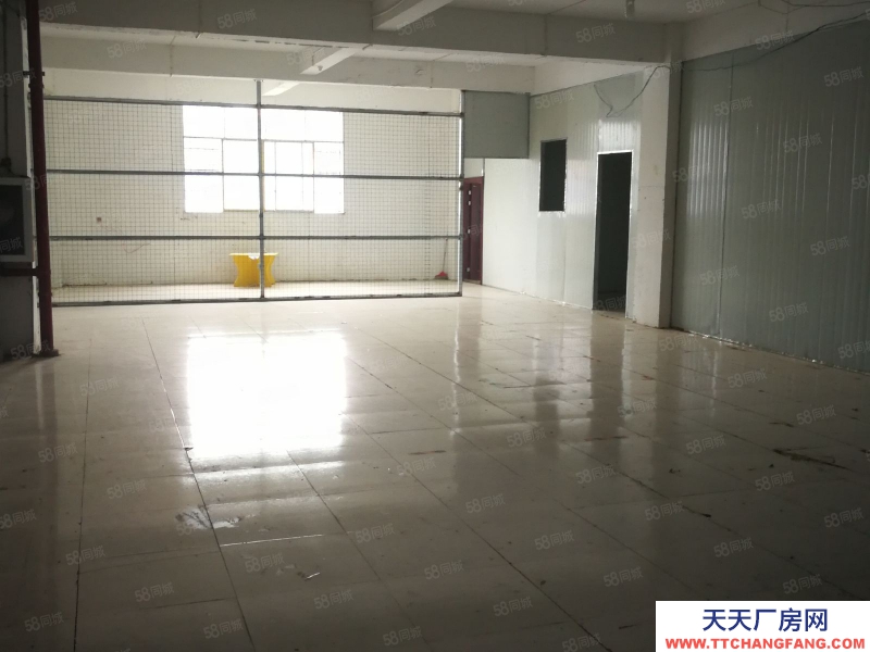 (出租) 數博大道旁金伍路65號一樓540平,420平.370平招租