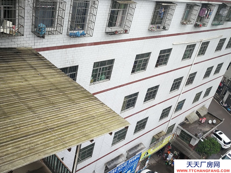 (出租) 數博大道旁金伍路65號一樓540平,420平.370平招租