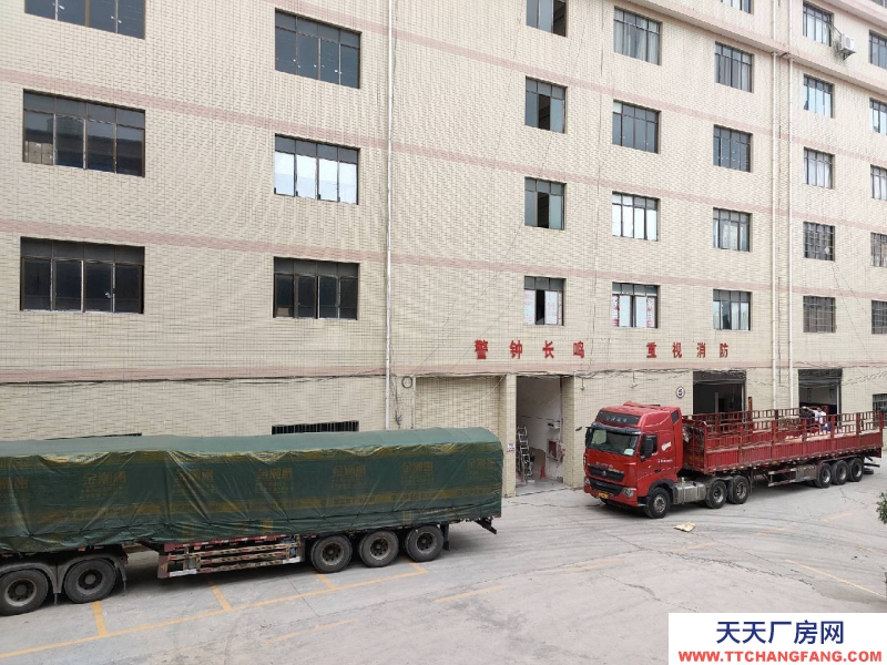 (出租) 云巖金關(guān)數(shù)博大道旁一樓1000平300平價(jià)格面談