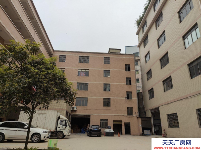 (出租) 云巖金關(guān)數(shù)博大道旁一樓1000平300平價(jià)格面談