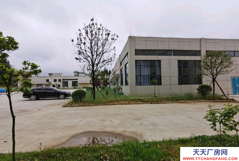 (出租) 食品工業(yè)園區(qū)，房東直租，無中介。