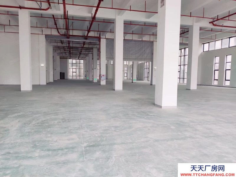 (出售) 修文工業園2500平獨棟廠房出售