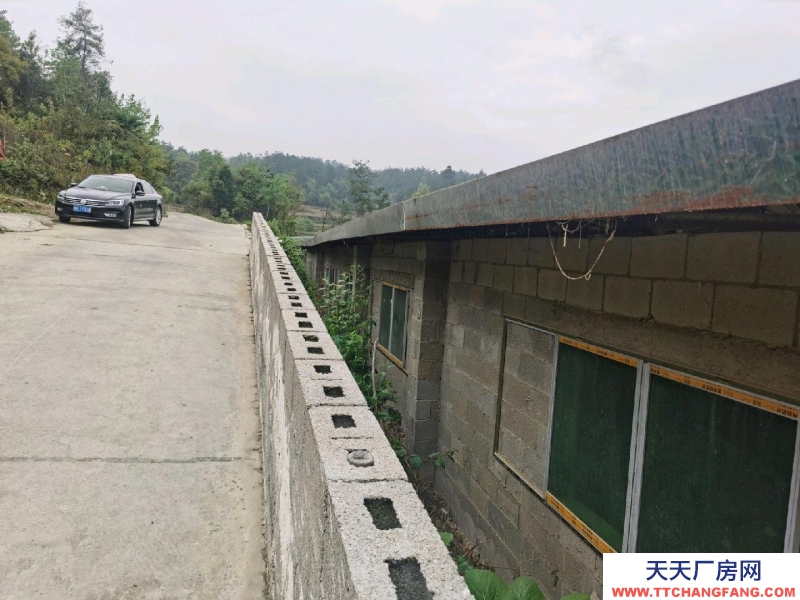 (出租) 養豬場出租，水電齊全，自己的養豬場，帶有120平米住房