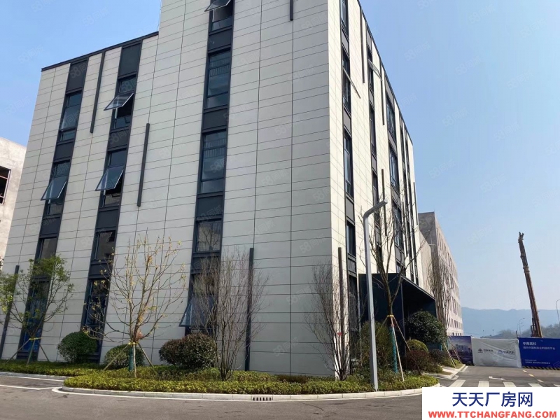 (出售) 修文(首層8.1米)標準結構廠房出售 有產權