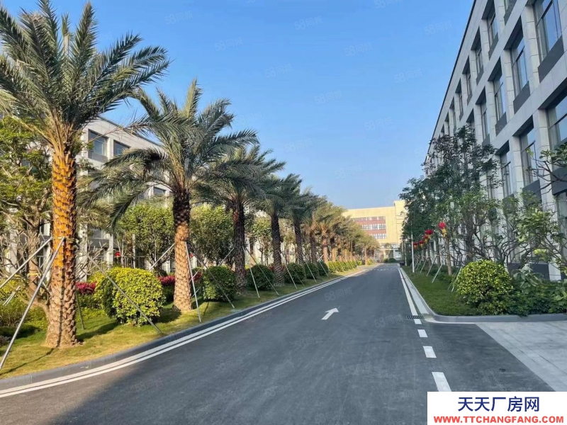 (出售) 修文(首層8.1米)標準結構廠房出售 有產權