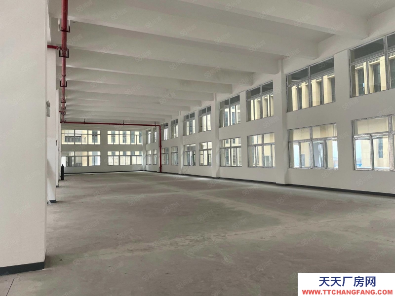 (出售) 白菜價 修文獨棟1500平米廠房出售先到先得