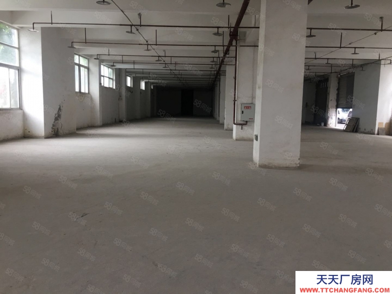 (出租) 汽博中心三亞灣附近2000庫(kù)房出租