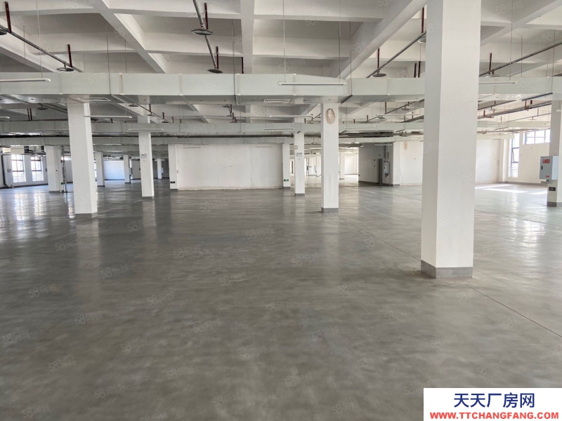 (出租) 汽博中心三亞灣附近2000庫(kù)房出租