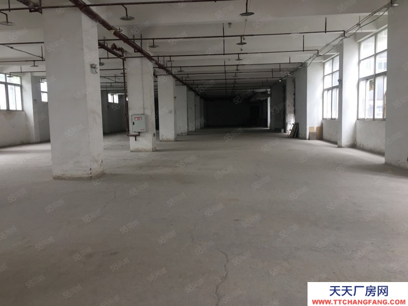 (出租) 汽博中心三亞灣附近2000庫(kù)房出租