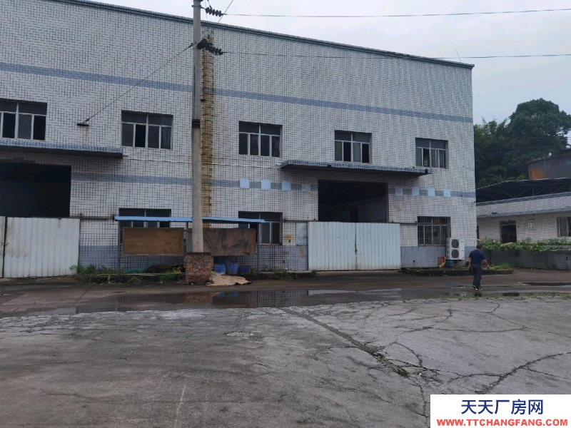 (出租) 赤水下高速路口，之前是造紙廠