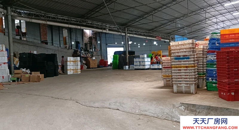 (出租) 修文扎佐鎮林業學校對面100米