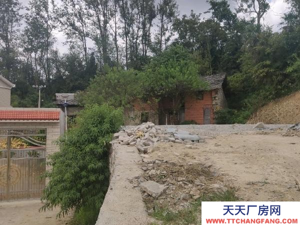 (出售) 證件齊全，可租可轉讓