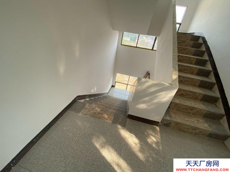 (出租) 修文三層整棟出租一層廠庫二三層人全部裝修完善