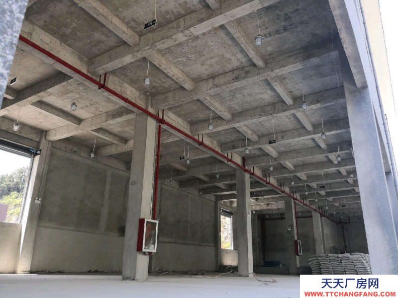 (出租) 位于深溪綠色食品產業園