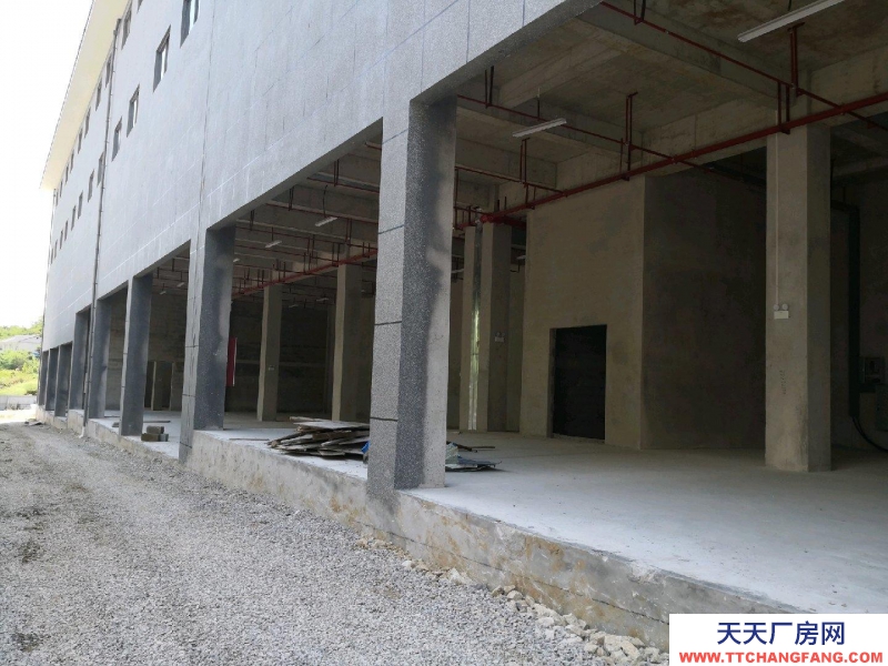 (出租) 位于深溪綠色食品產業園