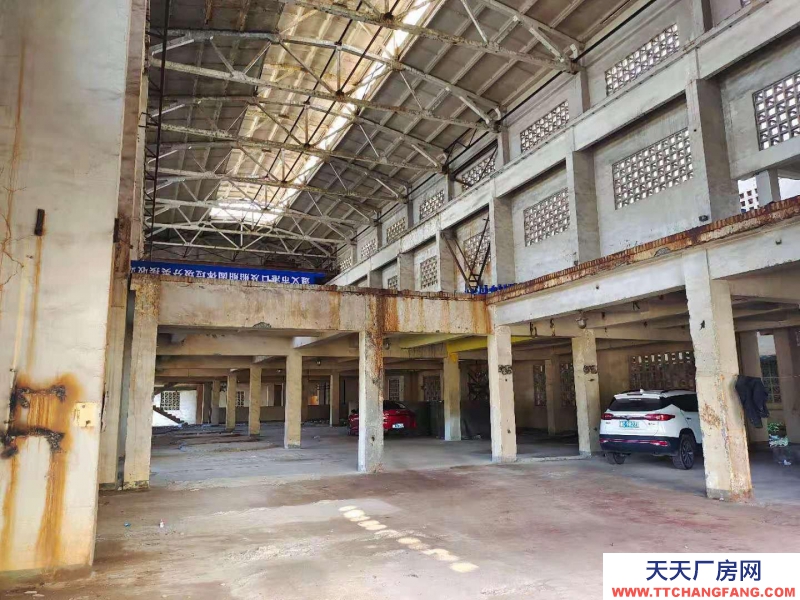 (出租) 出租國際商貿城后的 倉庫、冷庫，大小倉庫都有。