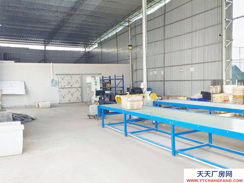 (出租) 出租國際商貿(mào)城后的 倉庫、冷庫，大小倉庫都有。