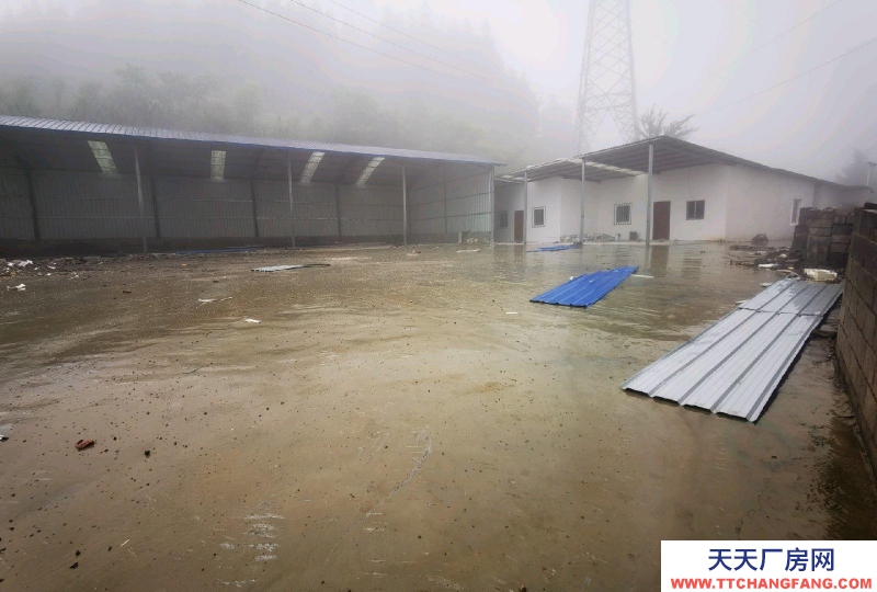 廠房可做加工廠，可做倉庫，還帶四室一廳一廚一衛