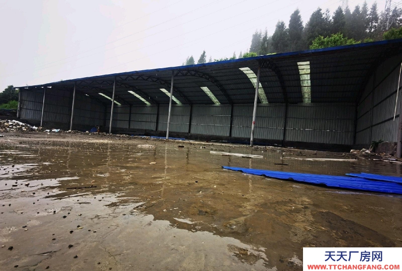 廠房可做加工廠，可做倉庫，還帶四室一廳一廚一衛