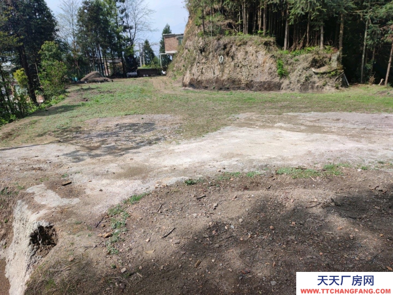 (出租) 縣城開發區文昌街道門面及場地急租