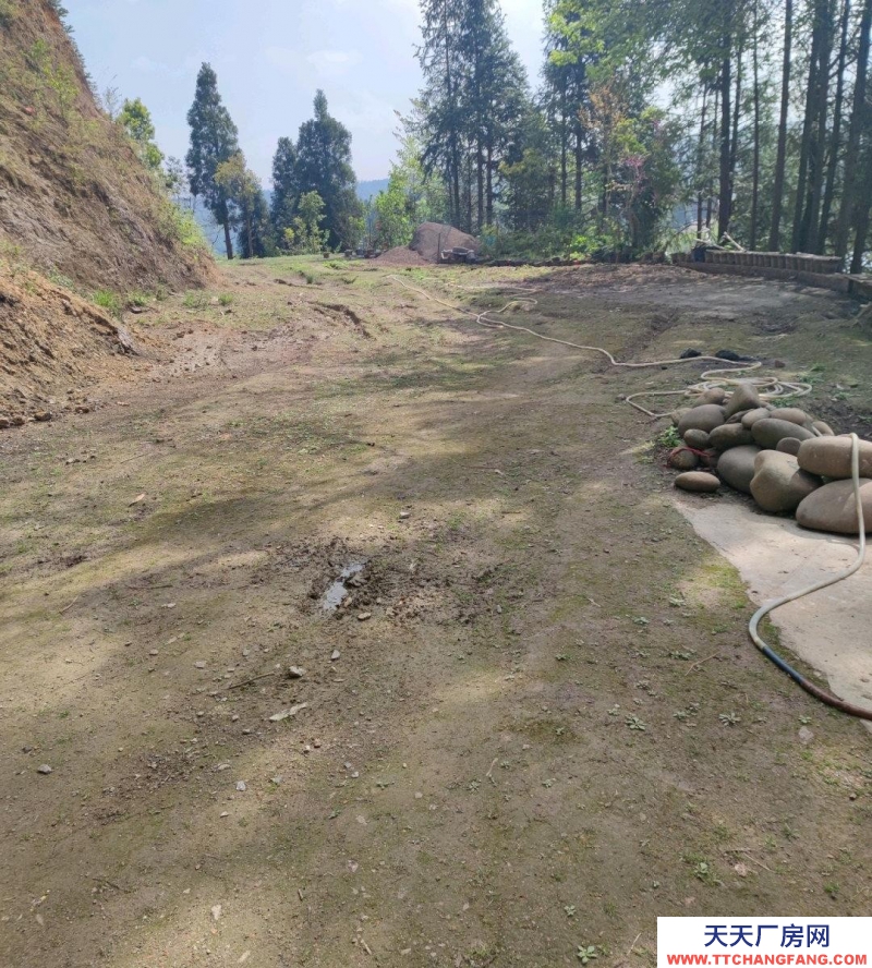 (出租) 縣城開發區文昌街道門面及場地急租