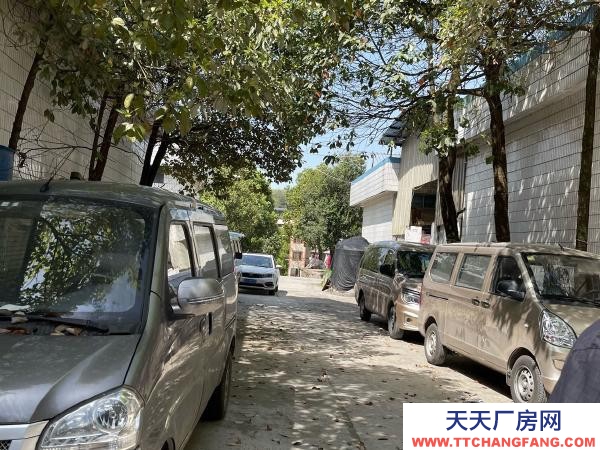 標準廠房，全部是一樓.適合各類企業