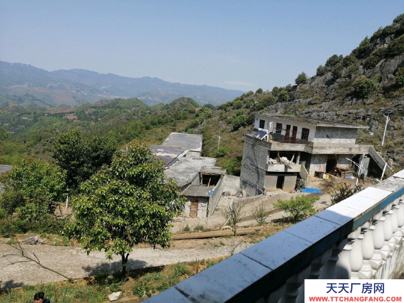 可進(jìn)行豬，牛，羊，雞等養(yǎng)殖。