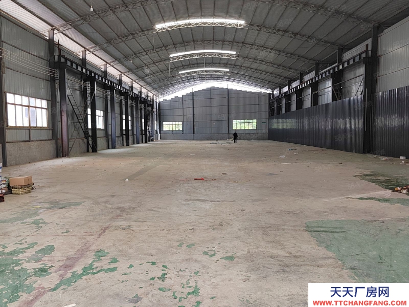 (出租) 興義 龍井廠房 出租 總面積2800平米 可做倉庫，停車場