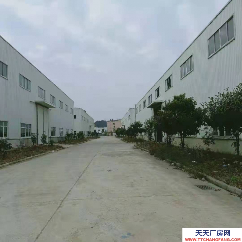 (出租) 廠房出租 地理位置優(yōu)越